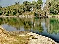 adda (8)